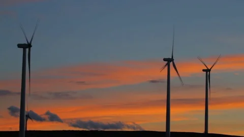 Wind Farm propellers at sunset Stock Footage 81150831