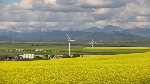 Wind Farm Renewable Energy Alberta Canada Video stock 150712016