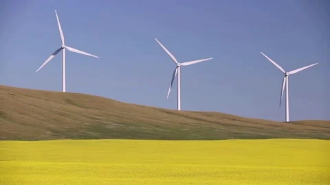 Wind Farm Renewable Energy Alberta Canada Video stock 150713626