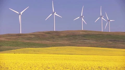 Wind Farm Renewable Energy Alberta Canada Video stock 150713801