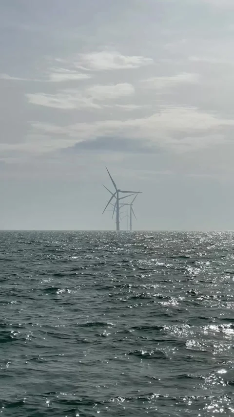 Wind farm at sea in the North Sea Stock Footage 310574053