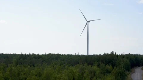 Wind farm, single wind turbine in pine forest on sunny day in Finland Stock-Footage 117356474