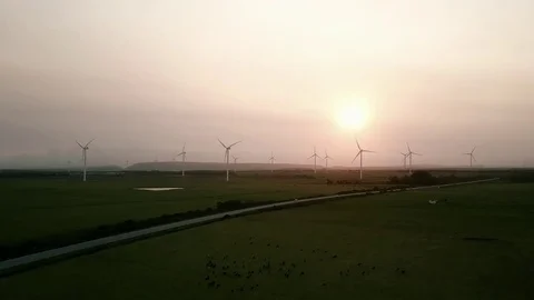Wind farm at sunset Stock Footage 71614567