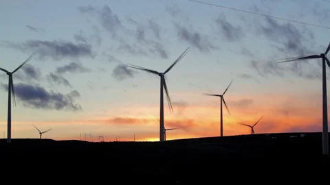 Wind Farm at Sunset Stock Footage 81151903