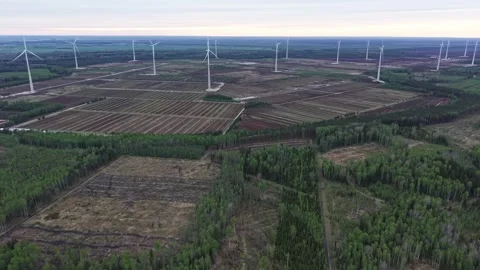 Wind Farm Surrounding Patchwork Fields and Forest Landscape by Daylight Stock-Footage 335290697