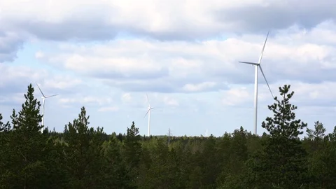 Wind farm, three wind turbines with pine trees in foreground 動画素材 117355515