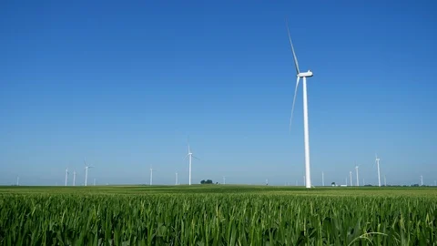 Wind Farm Turbines Spinning in a Corn Field 4 Stock Footage 112893448