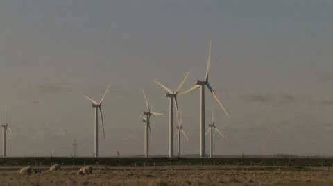 Wind Farm TURBINES Turn above family of SHEEP Stock Footage 23059341