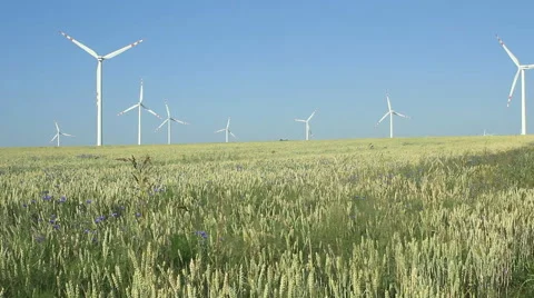 Wind farm on a wheat field. Slow camera pan. Stock Footage 52996916