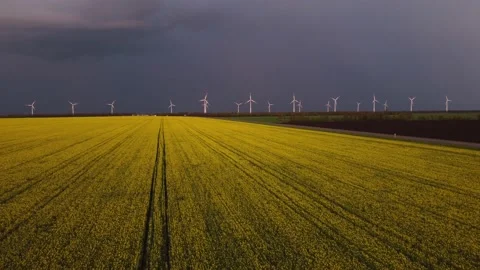Wind farms in agricultural fields 動画素材 194397697