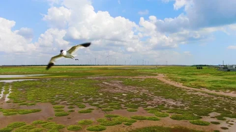 Wind farms on a cloudy day Stock Footage 156522624
