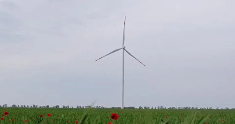 Wind farms work in the field in cloudy weather Video stock 147091770
