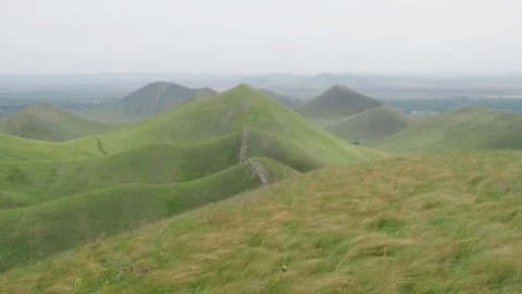 Wind in the field Stock Footage 246602463