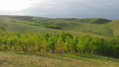 Wind in the field Stock Footage 246602494