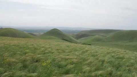 Wind in the field Stock Footage 246602501