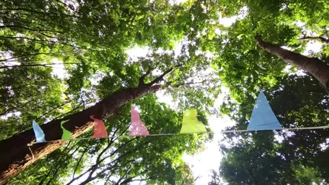 Wind Flag 库存影片 296718083