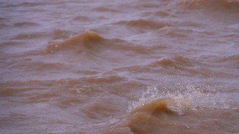 Wind flicking the tops off small waves in choppy waters slow motion 250 fps Vídeo Stock 87703492