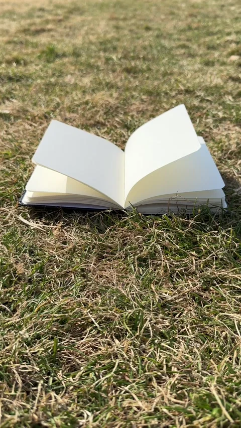 Wind Flipping Notebook Pages on grass field background Stock Footage 249317101