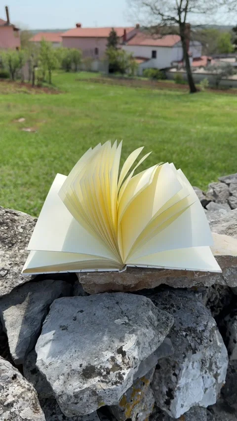 Wind Flipping Notebook Pages on nature background Stock Footage 240636666