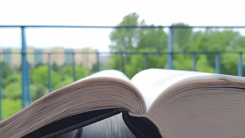Wind flips through the book pages. Stock Footage 246640352