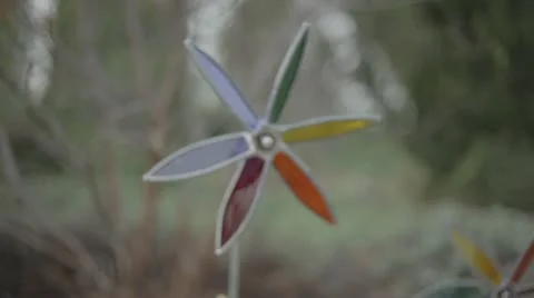 Wind Flower Video stock 22255375