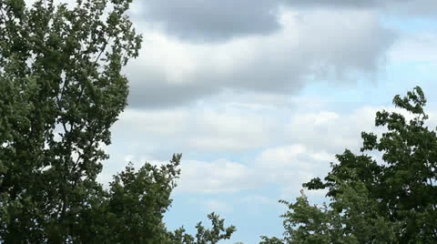 Wind Stock Footage 24383163