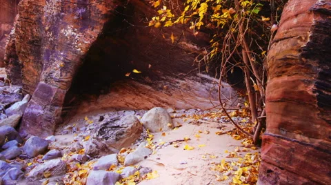 Wind Vidéo 46059860