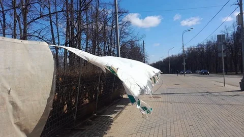 Wind Stock Footage 88967367