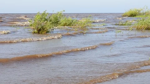 Wind Stock Footage 108764331