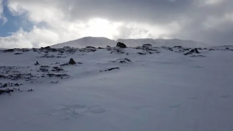 Wind Stock Footage 243013124