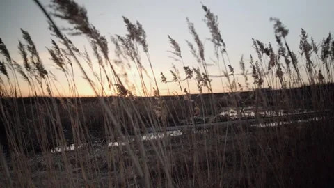 Wind Stock Footage 244760858