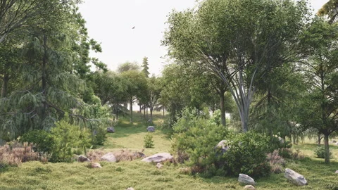 Wind In The Forest Stock-Footage 239938058