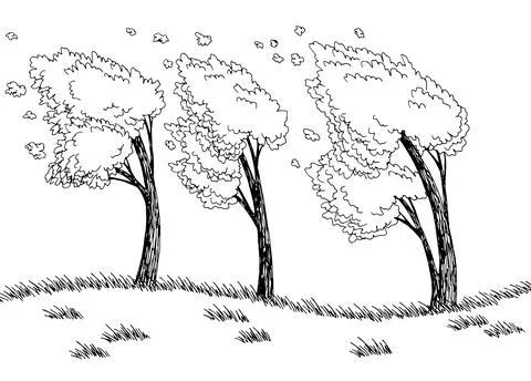 Wind forest graphic black white landscape sketch illustration vector Stock Illustration