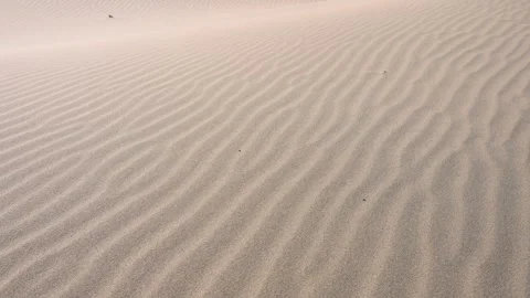 Wind-formed ripples create abstract, textured patterns on sand dunes in the Stock Footage 317687776
