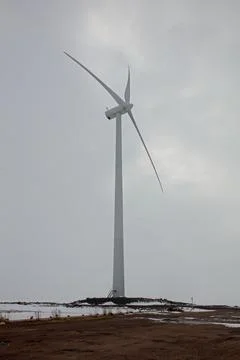 Wind generator on the seashore. Foto stock