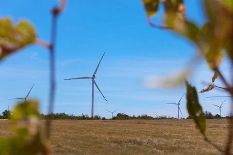 A wind generator is visible through the leaves. Stock Photos