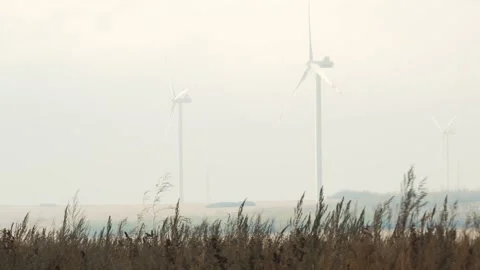 Wind generators during sunny windy day Stock Footage 147455290