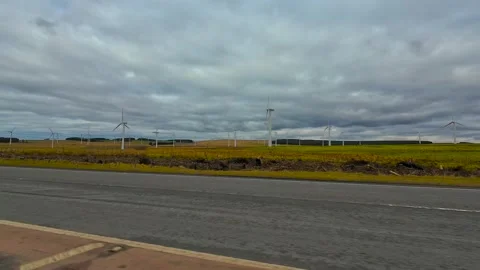 Wind generators farm producing clean electricity in open field. Turbines Stock Footage 306013096