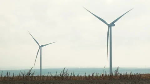 Wind generators in a field Stock-Footage 147455243