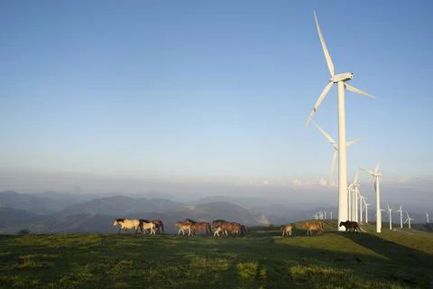 Wind generators in the mountains at sunset Stock Photos