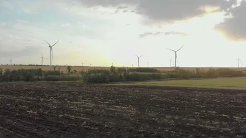 Wind generators stand in a field at dawn 4K Stock Footage 207808031