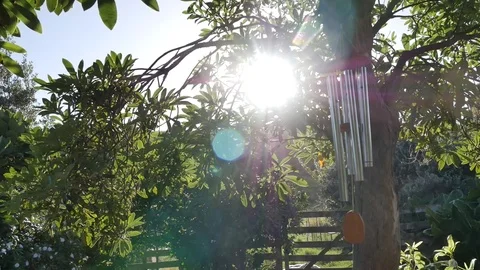 Wind Glockenspiel Stock Footage 101000231