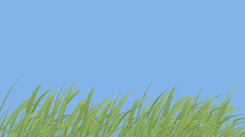 Wind in the grass against sky Stock-Footage 107138078