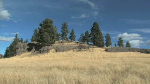 Wind in Grass  Stock Footage 90032