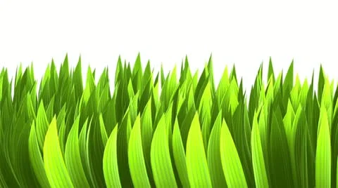 Wind in Grass Vídeo Stock 12062382