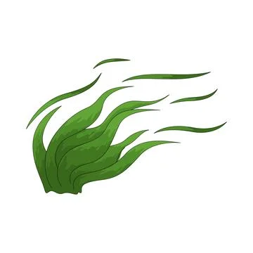 Wind grass illustration Stock Illustration
