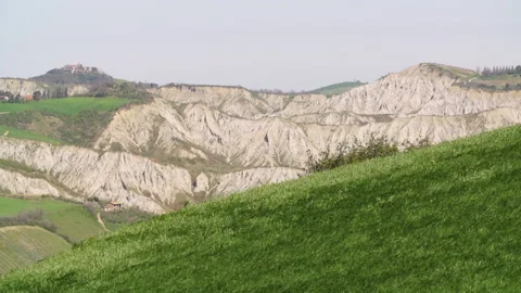 Wind on grass landscape Stock Footage 148534400