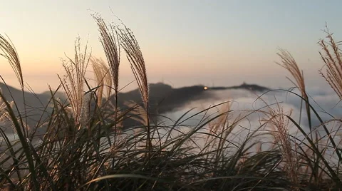 Wind in grass mountains Stock Footage 42109959