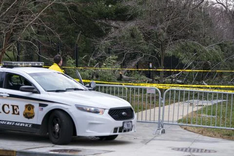 Wind gusts down tree at Vice President Pence residence, Washington, USA - 02 Mar Stock Photos