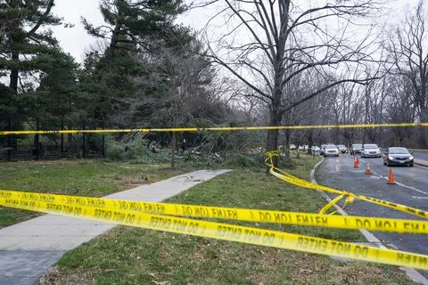 Wind gusts down tree at Vice President Pence residence, Washington, USA - 02 Mar Stock Photos